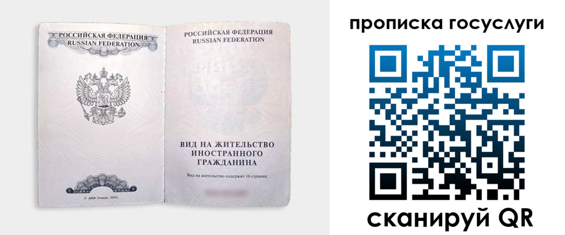 прописка поиск в Щёкино